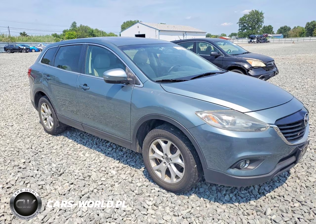 2013 Mazda Cx-9 VIN:JM3TB3CA8D0417358 - 5