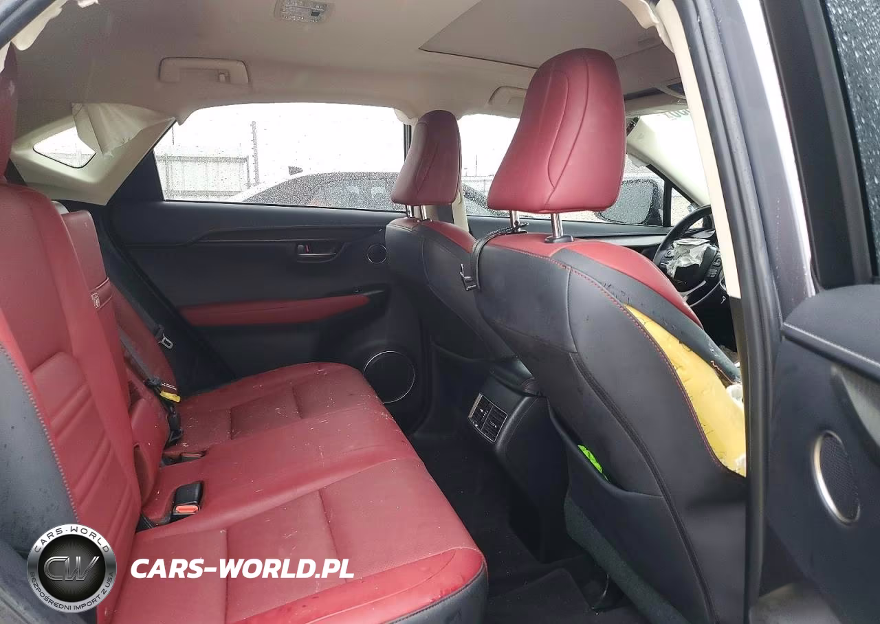 2020 Lexus Nx 300 VIN:JTJDARBZ6L5002791 - 10