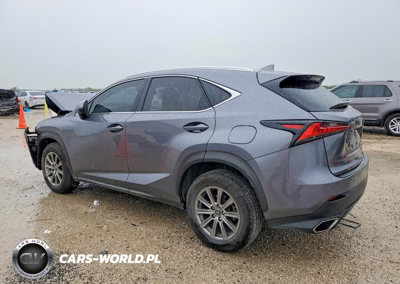 2020 Lexus Nx 300 VIN:JTJDARBZ6L5002791 - 2