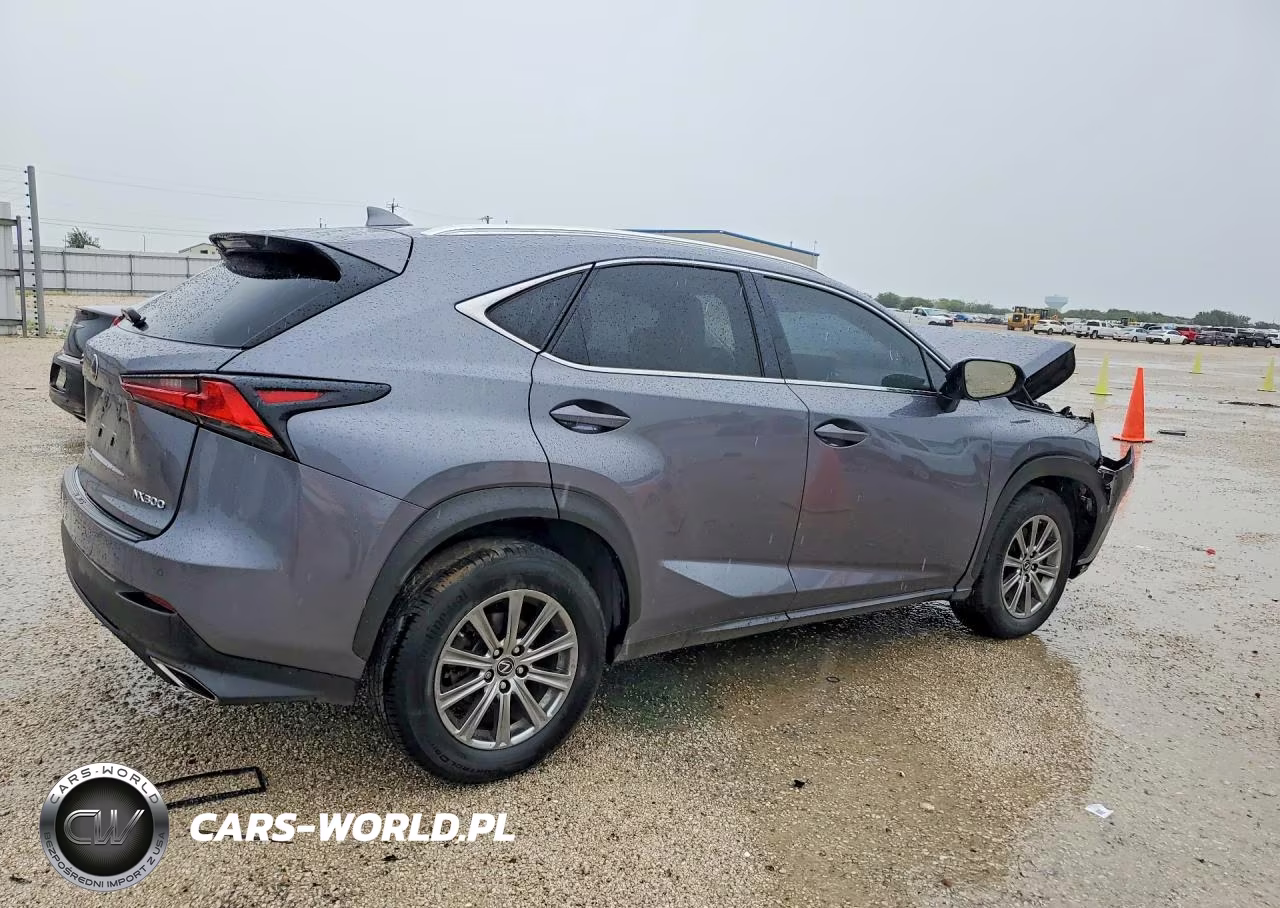 2020 Lexus Nx 300 VIN:JTJDARBZ6L5002791 - 3