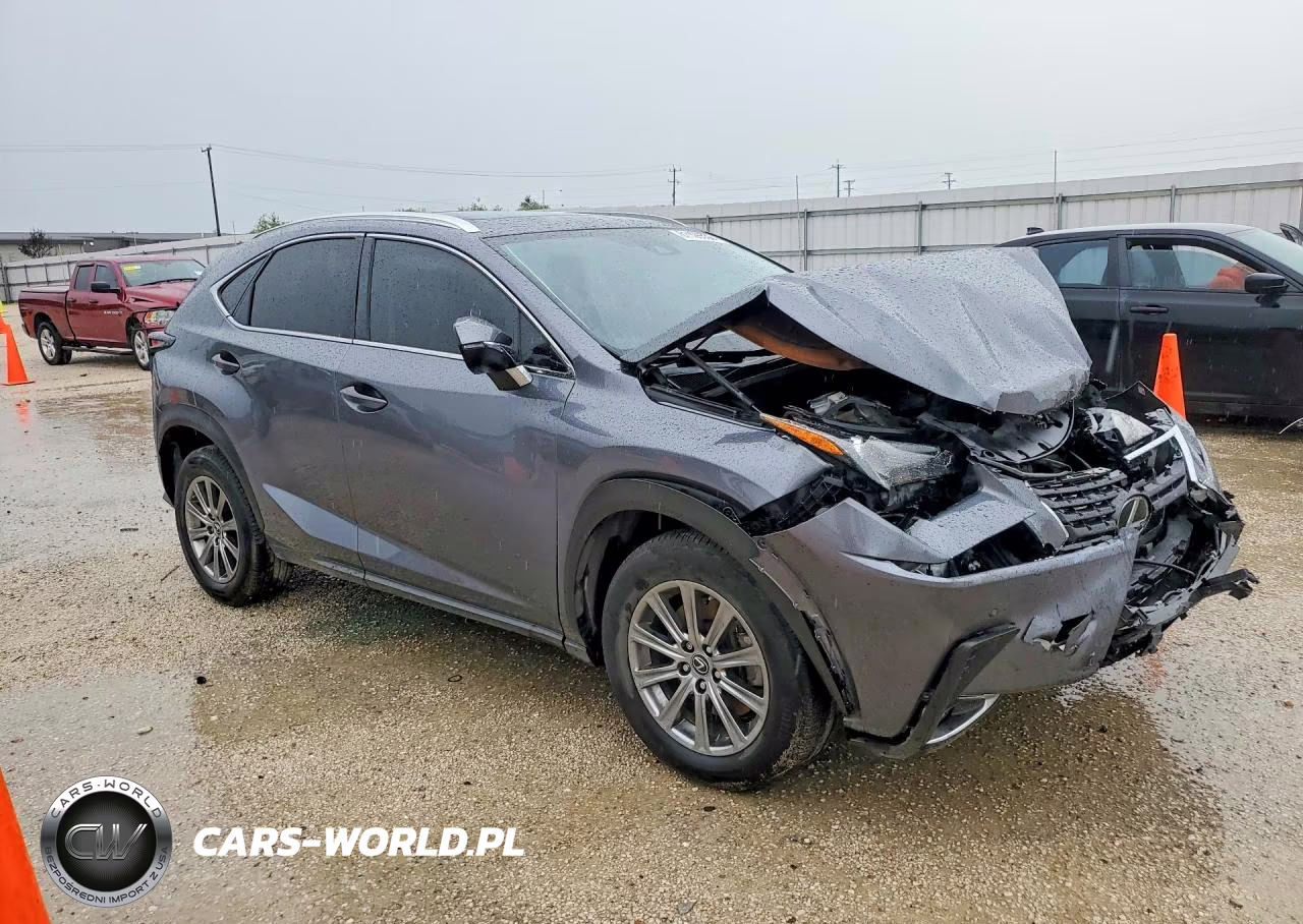 2020 Lexus Nx 300 VIN:JTJDARBZ6L5002791 - 4