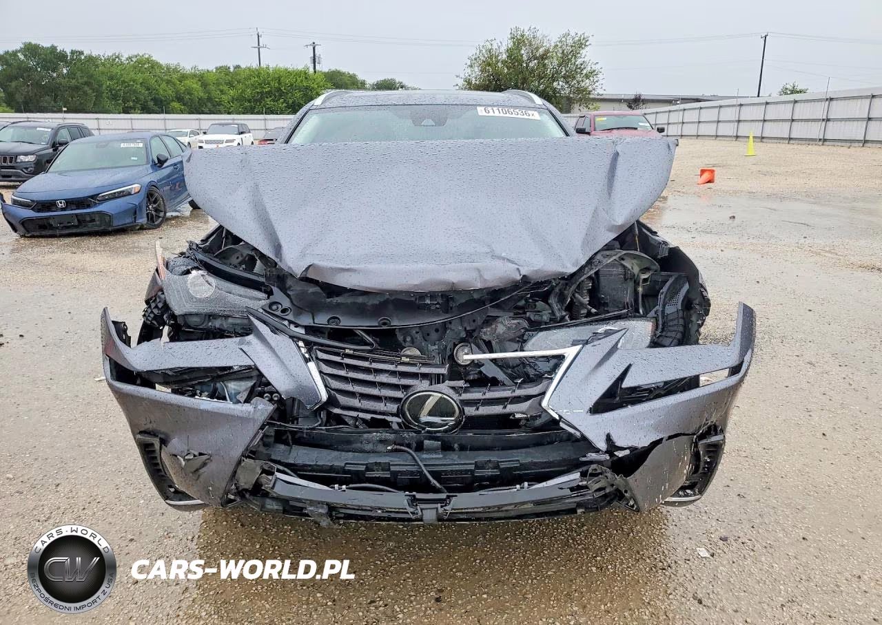 2020 Lexus Nx 300 VIN:JTJDARBZ6L5002791 - 5
