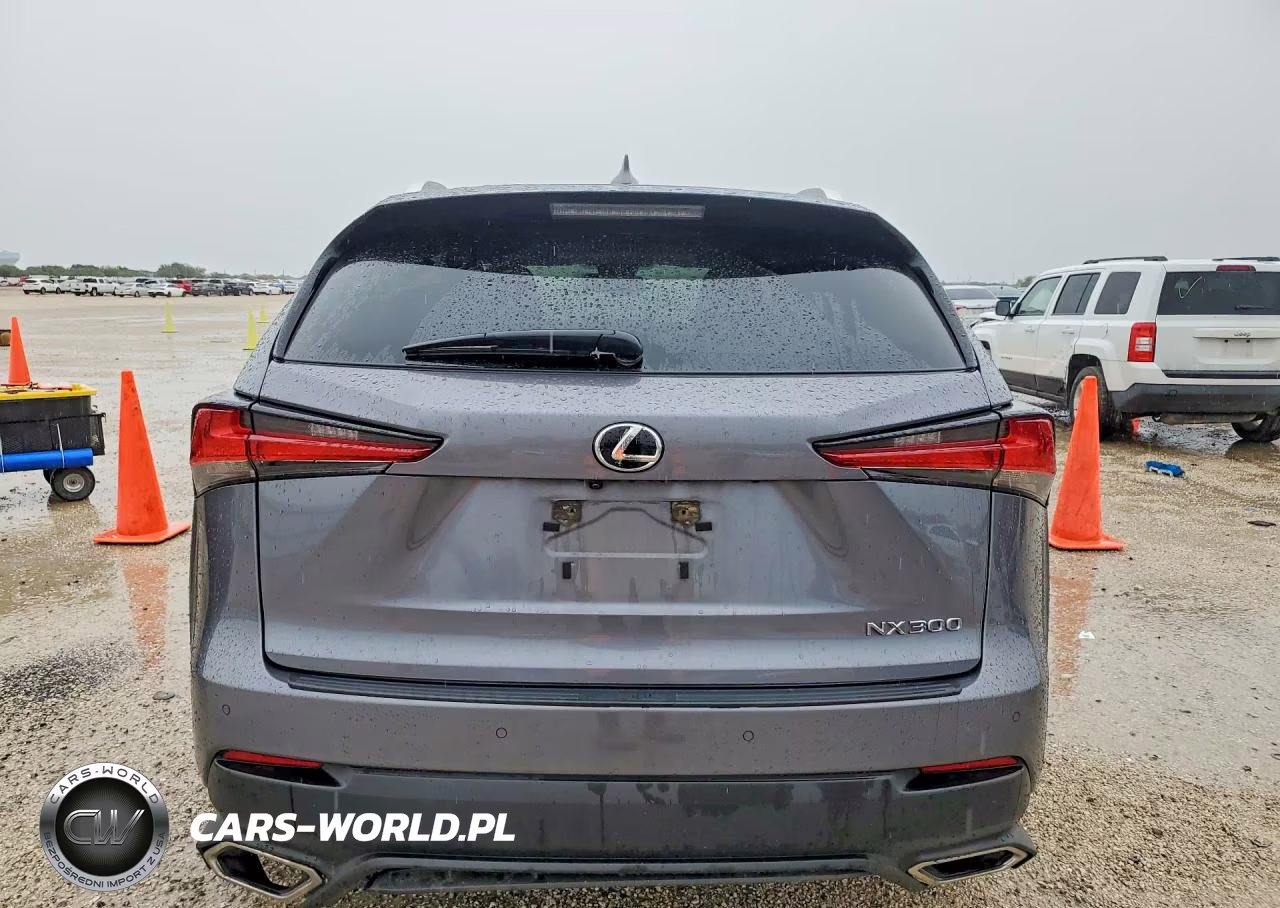 2020 Lexus Nx 300 VIN:JTJDARBZ6L5002791 - 6