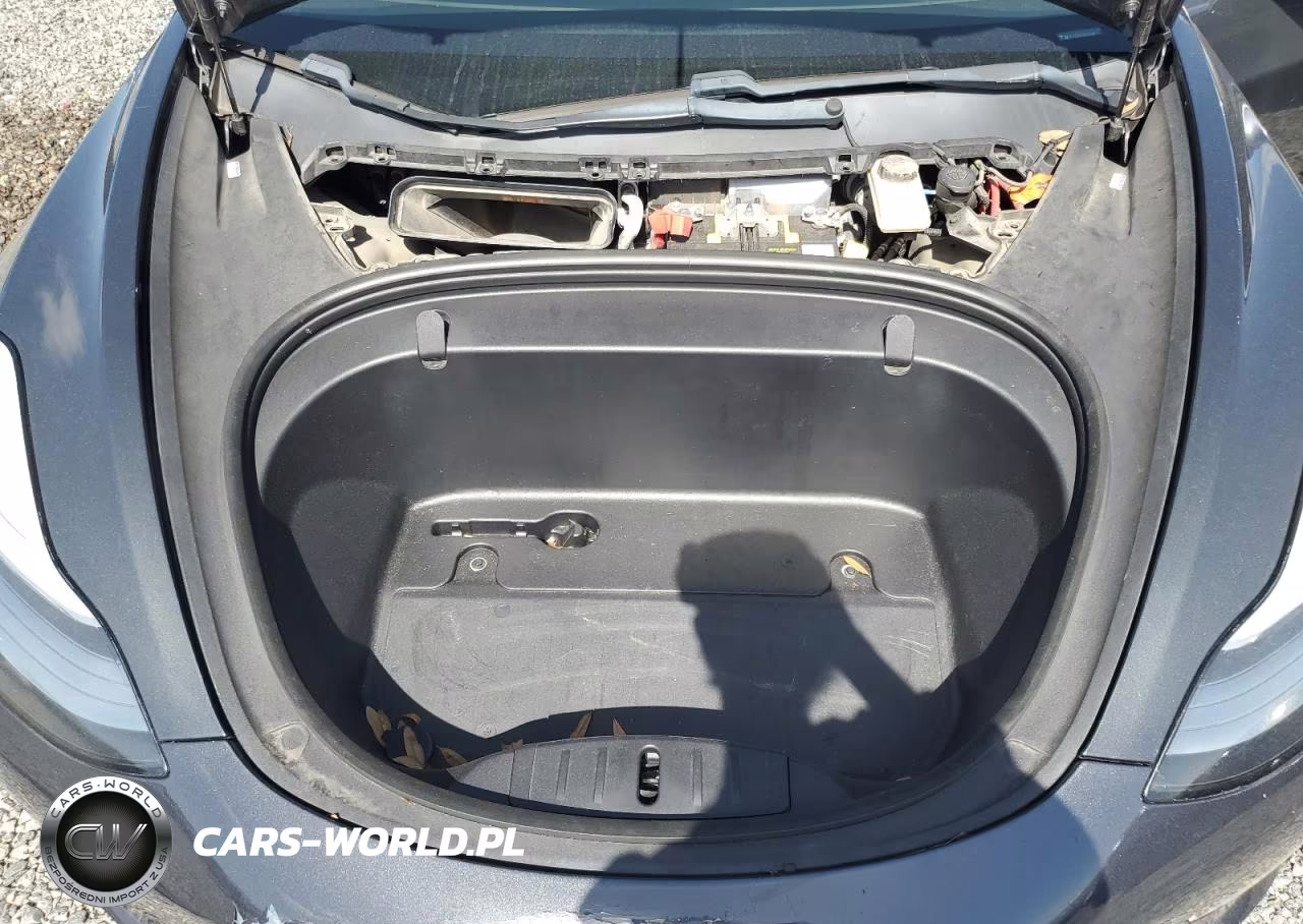 2019 Tesla Model 3 VIN:5YJ3E1EA9KF411021 - 11