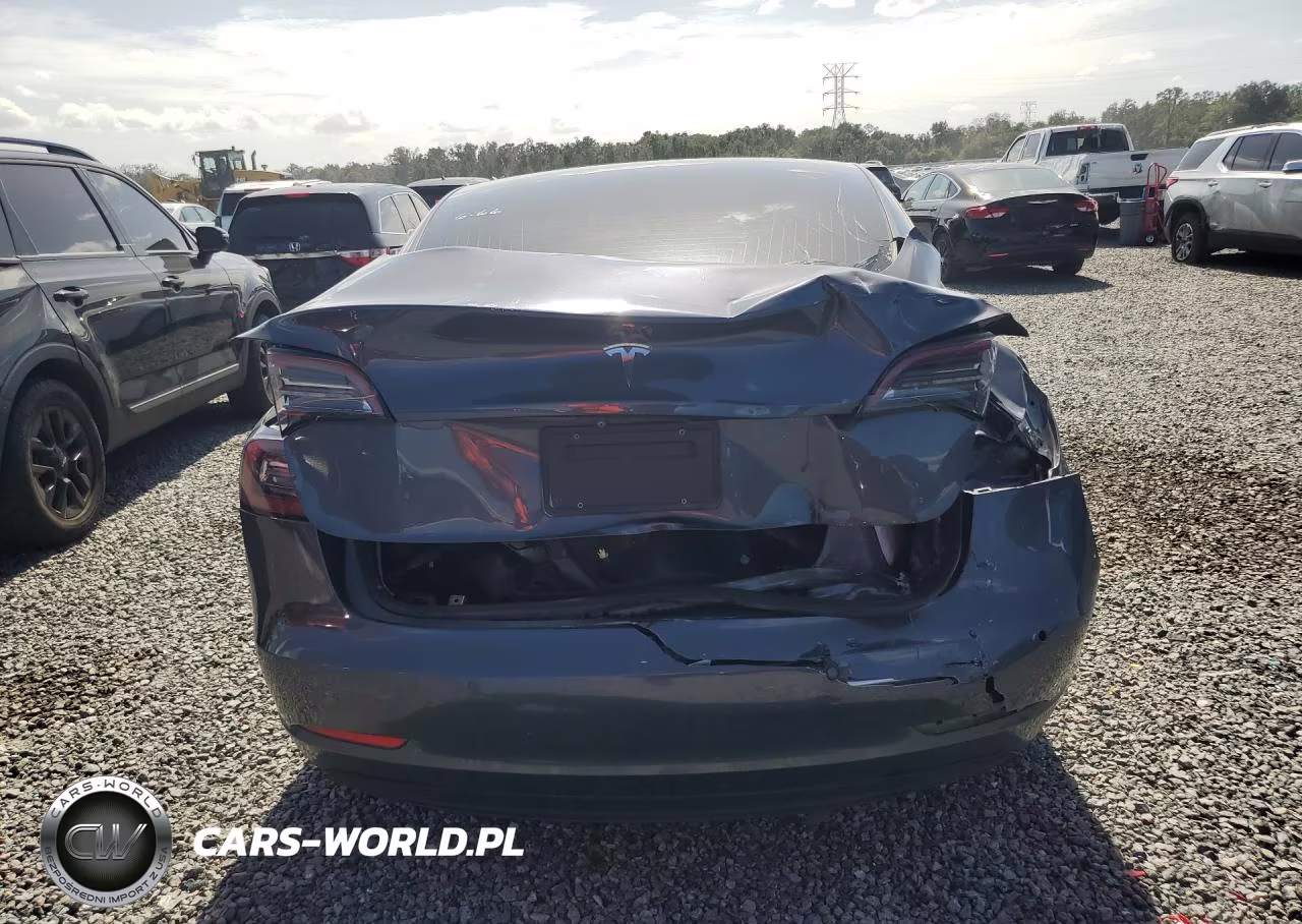 2019 Tesla Model 3 VIN:5YJ3E1EA9KF411021 - 6