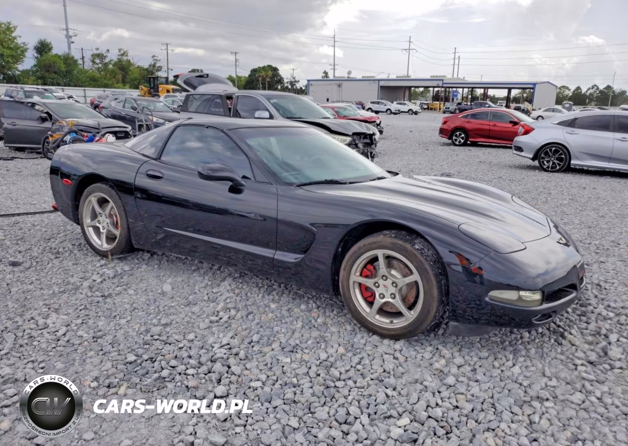 2000 Chevrolet Corvette VIN:1G1YY22G3Y5132744 - 4
