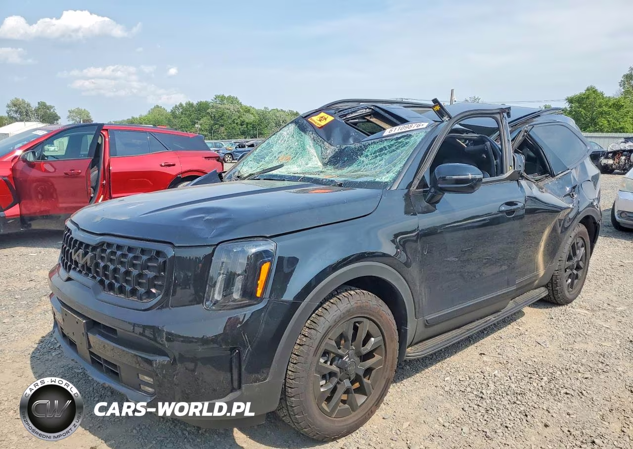 2025 Kia Telluride Sx-Prestige X-Pro VIN:5XYP5DGC2SG717584 - 1