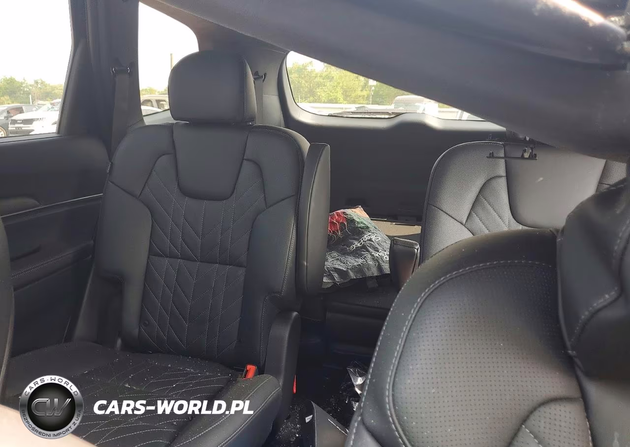 2025 Kia Telluride Sx-Prestige X-Pro VIN:5XYP5DGC2SG717584 - 10