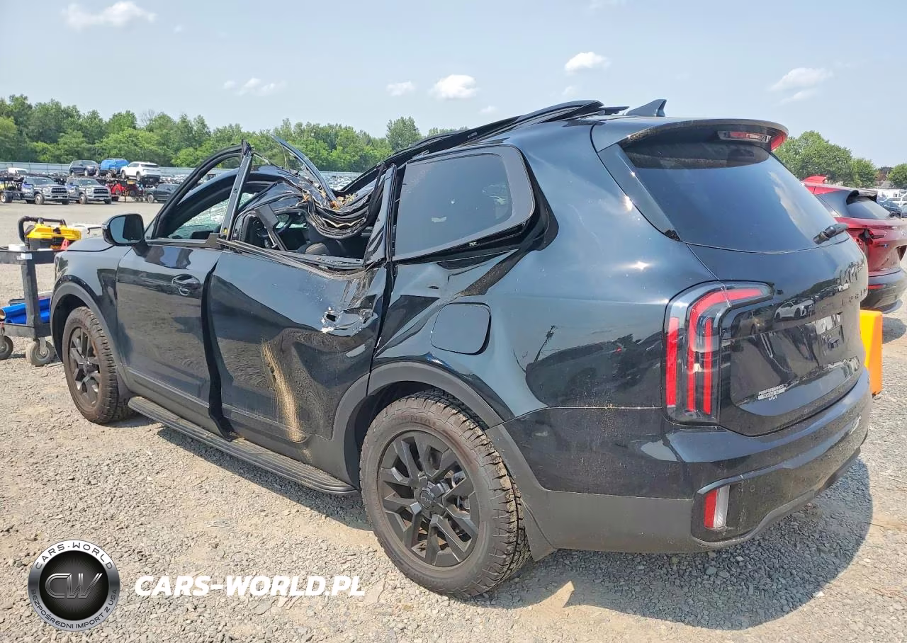 2025 Kia Telluride Sx-Prestige X-Pro VIN:5XYP5DGC2SG717584 - 2