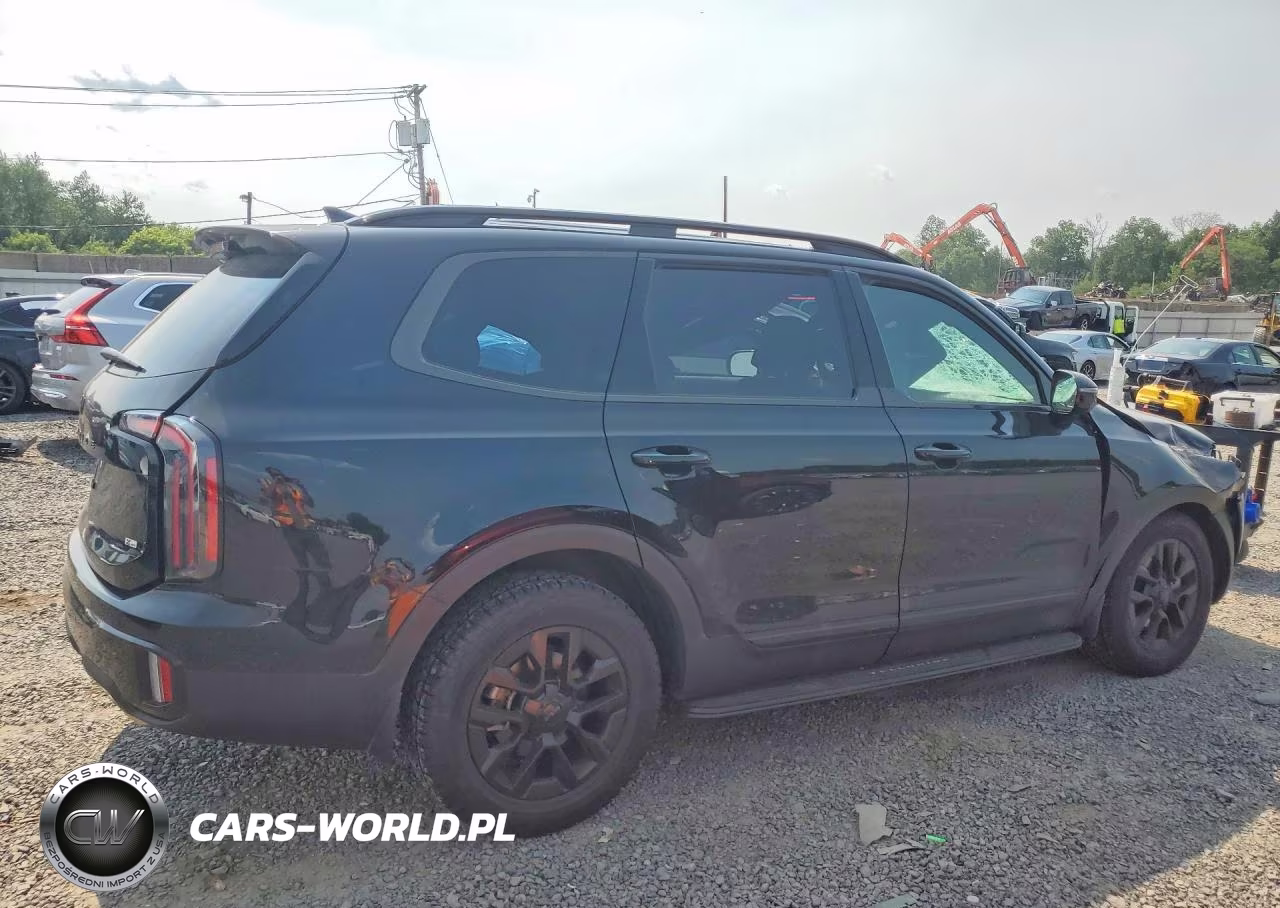 2025 Kia Telluride Sx-Prestige X-Pro VIN:5XYP5DGC2SG717584 - 3