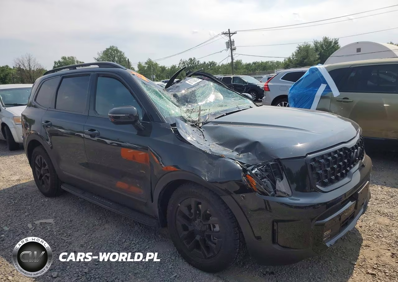 2025 Kia Telluride Sx-Prestige X-Pro VIN:5XYP5DGC2SG717584 - 4