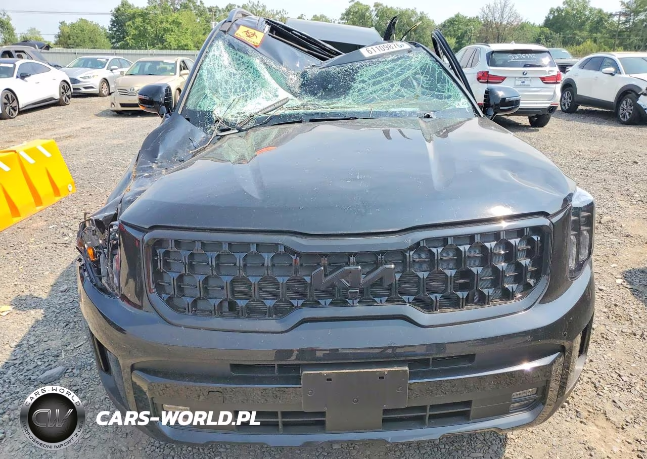 2025 Kia Telluride Sx-Prestige X-Pro VIN:5XYP5DGC2SG717584 - 5