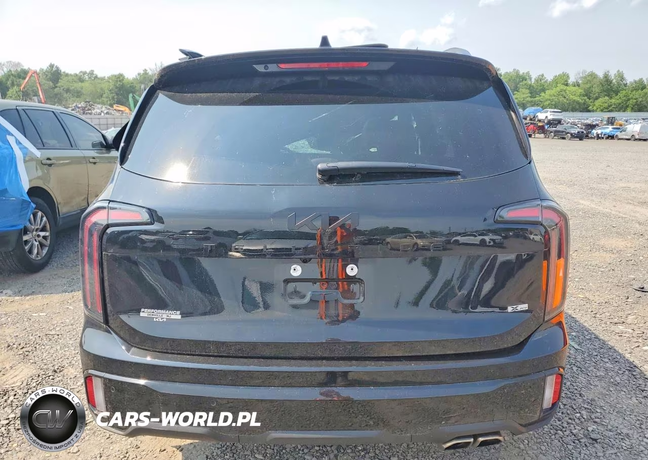 2025 Kia Telluride Sx-Prestige X-Pro VIN:5XYP5DGC2SG717584 - 6