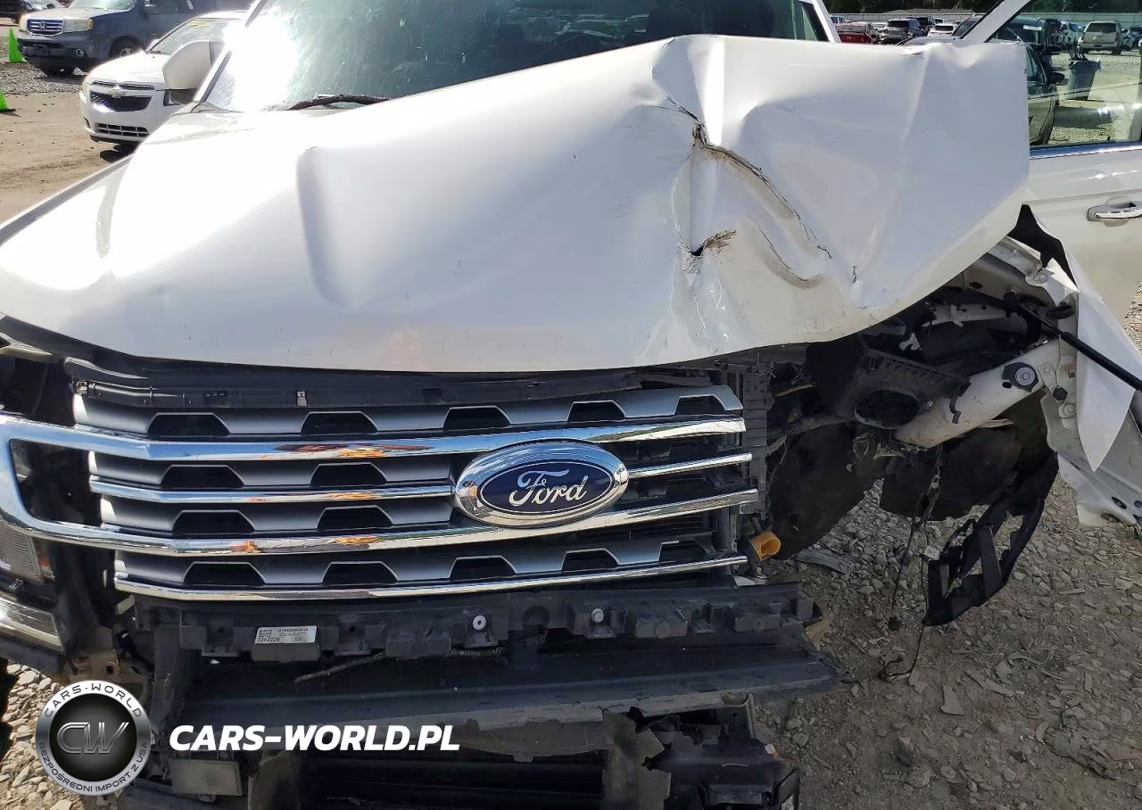 2019 Ford Expedition Max Limited VIN:1FMJK2AT2KEA09769 - 12
