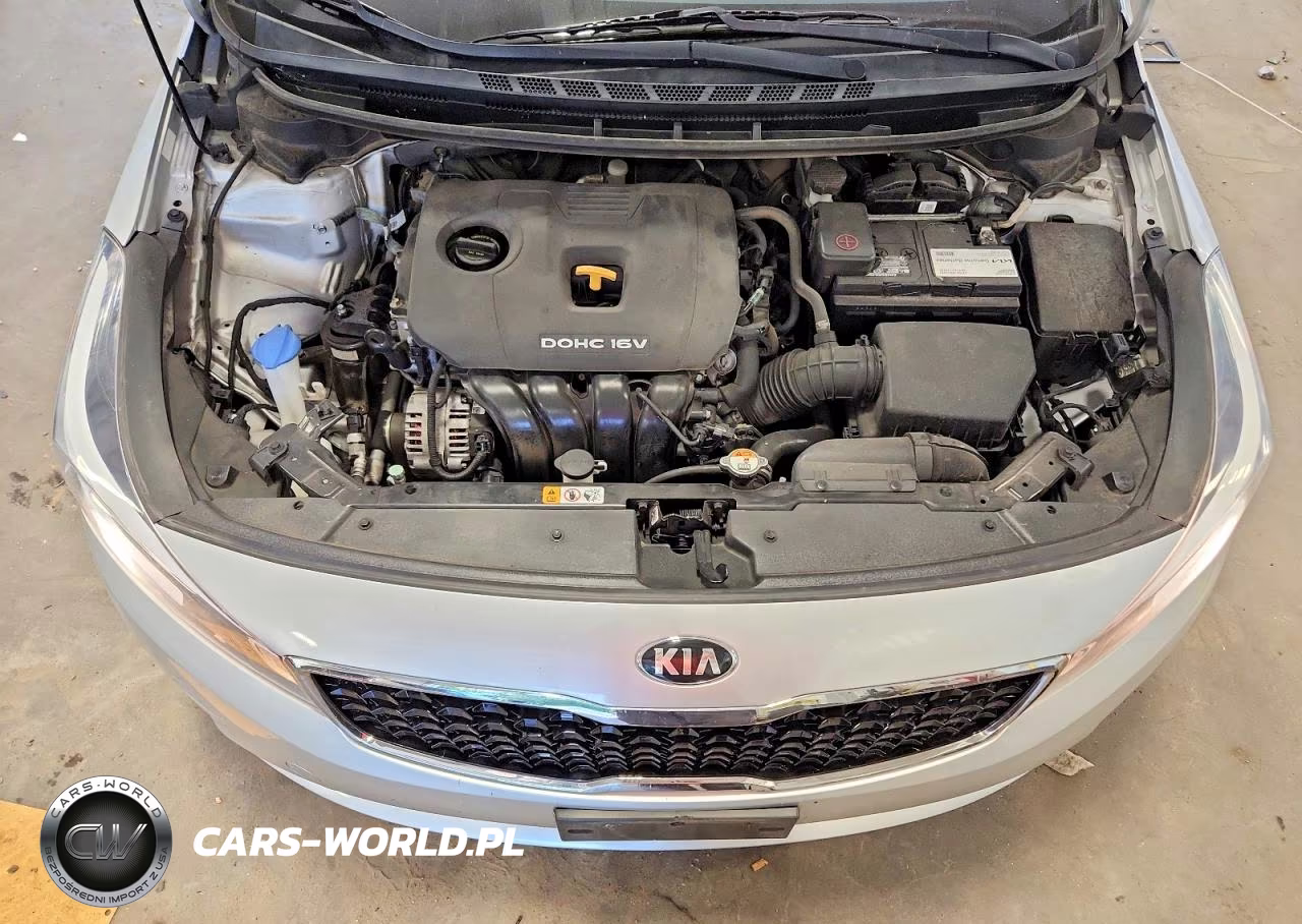 2017 Kia Forte Lx VIN:3KPFL4A78HE157153 - 11