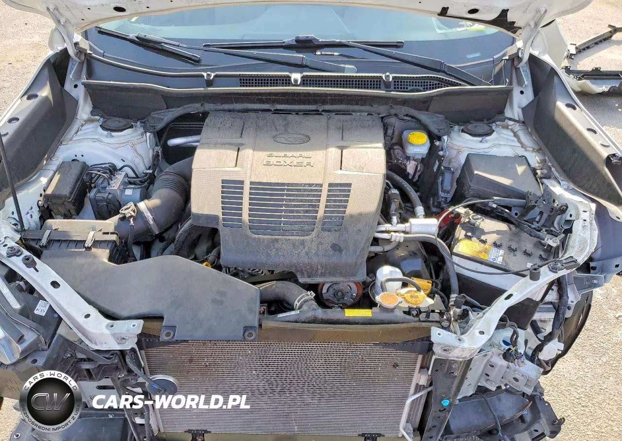 2023 Subaru Forester Sport VIN:JF2SKAGC1PH420405 - 12