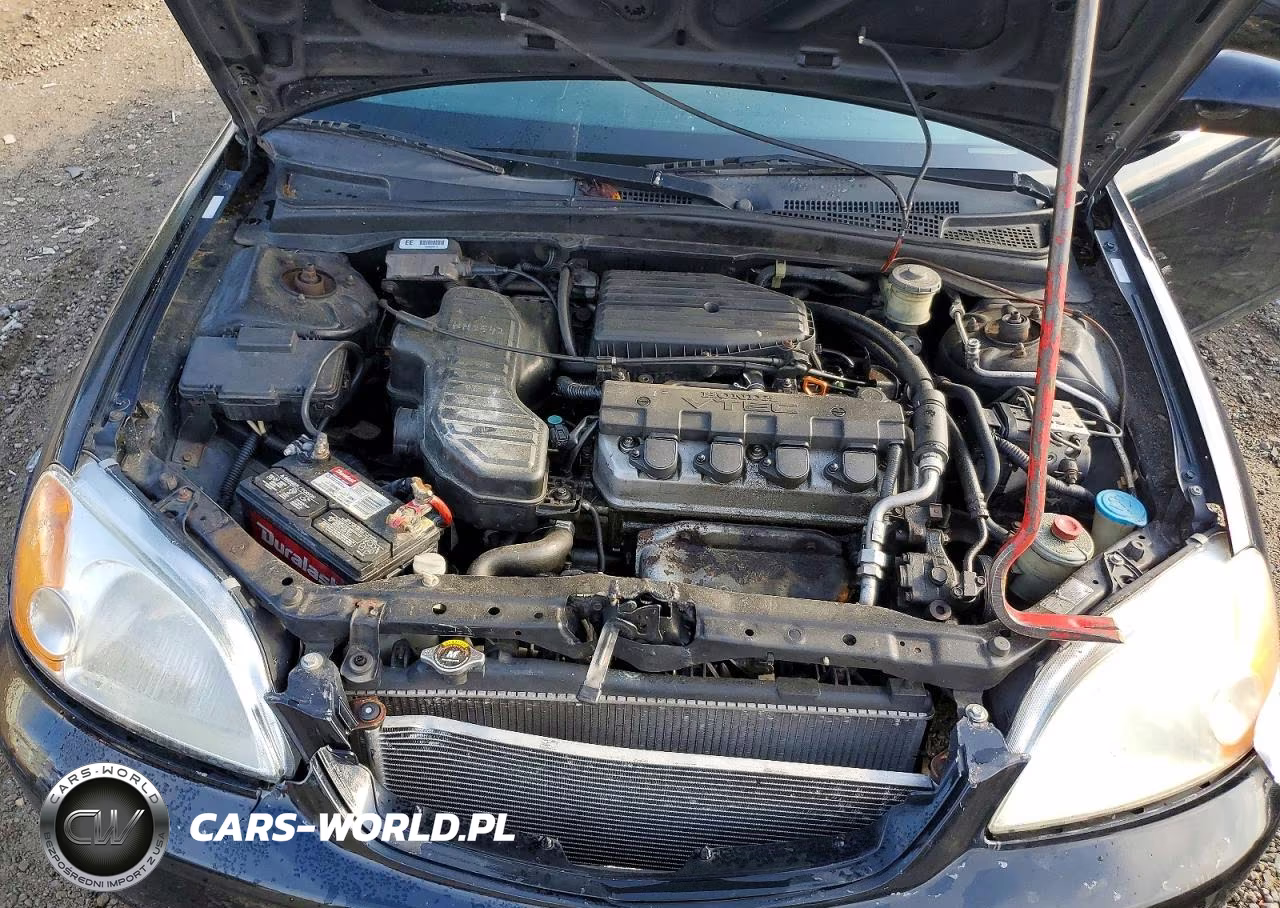 2003 Hond Civic VIN:1HGEM22963L065778 - 11