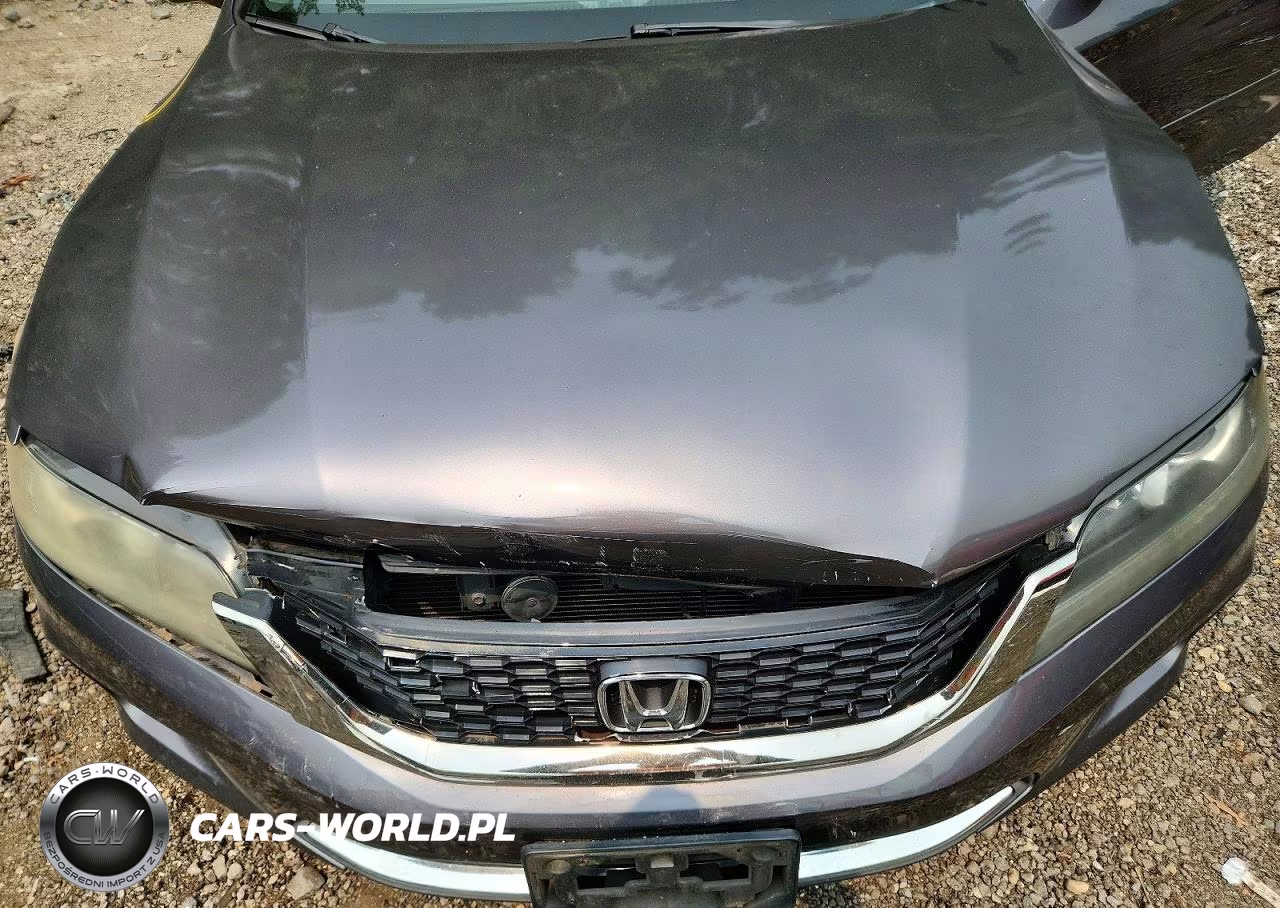 2013 Honda Accord Exl VIN:1HGCT1B88DA005316 - 11