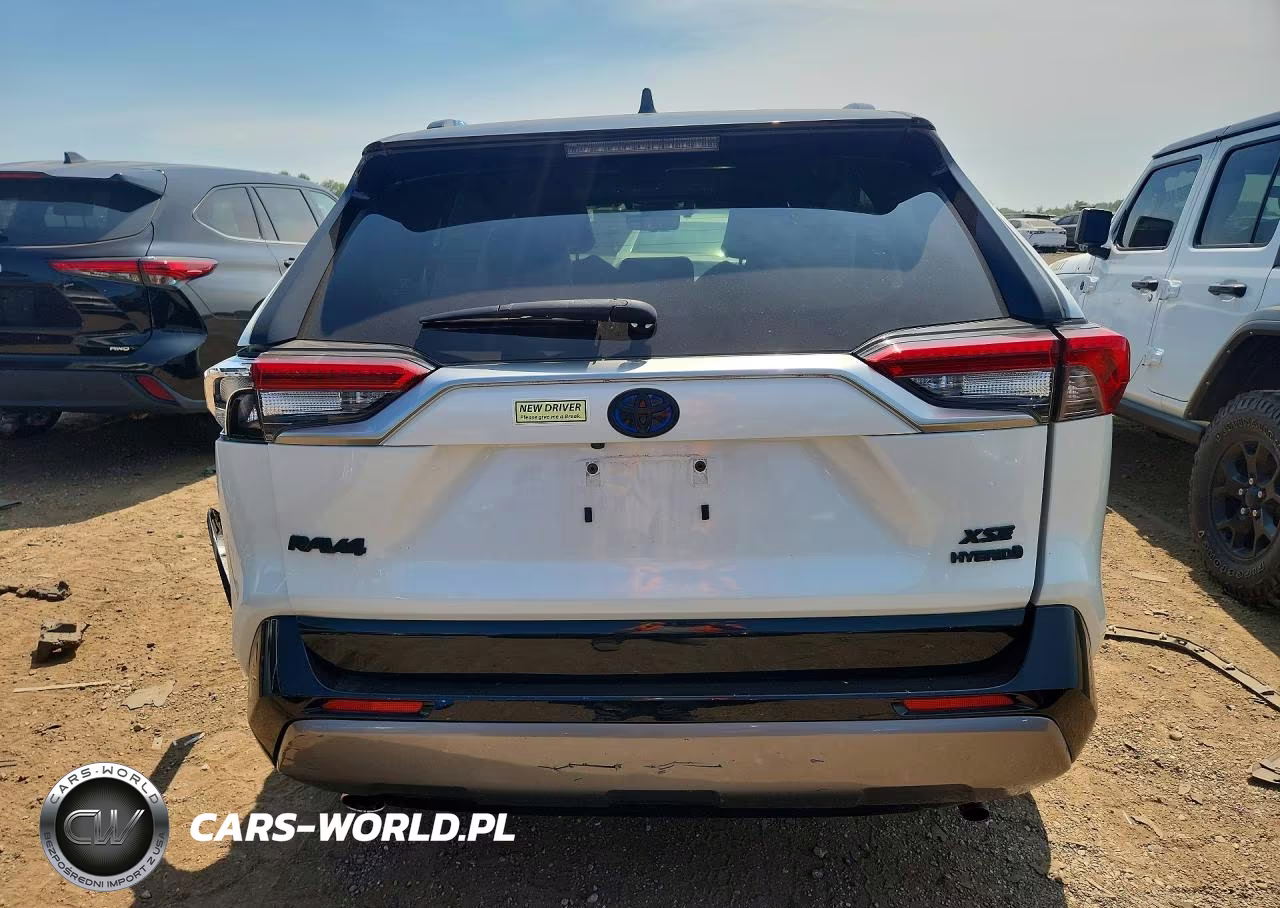 2020 Toyota Rav4 Xse VIN:JTMEWRFV2LJ049498 - 6