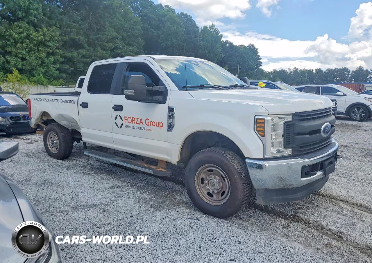 2019 Ford F250 Super Duty VIN:1FT7W2B60KEF48287 - 4