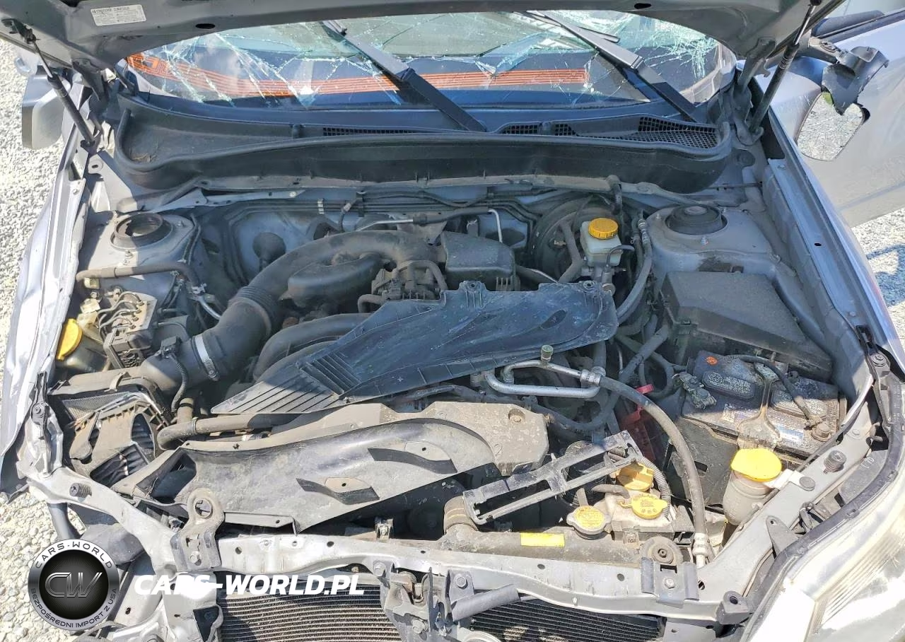 2013 Subaru Forester 2.5X Premium VIN:JF2SHADC0DH443818 - 12
