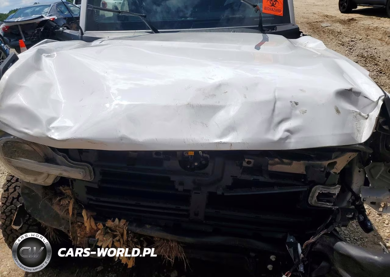 2025 Ford Bronco Badlands VIN:1FMEE9BP8SLB58492 - 11