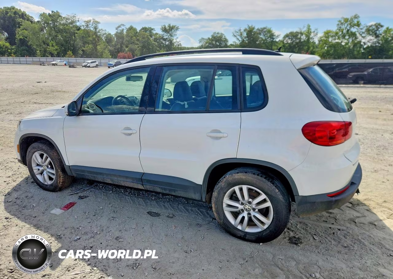 2016 Volkswagen Tiguan S VIN:WVGAV7AX0GW541420 - 2