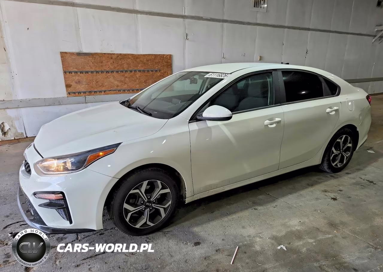 2019 Kia Forte Lxs