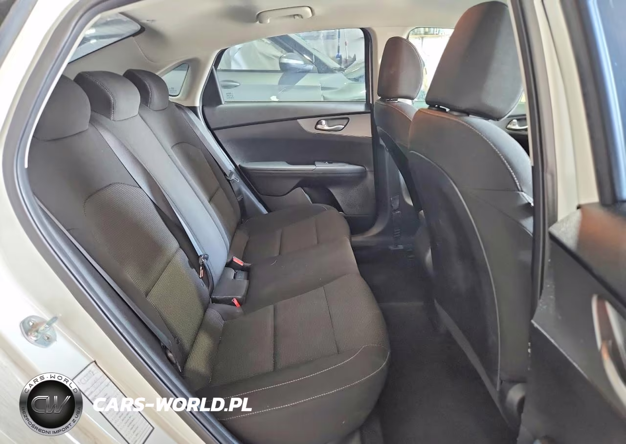 2019 Kia Forte Lxs VIN:3KPF24ADXKE077546 - 10