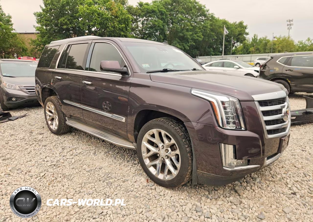 2015 Cadillac Escalade Luxury VIN:1GYS4BKJ9FR176896 - 4