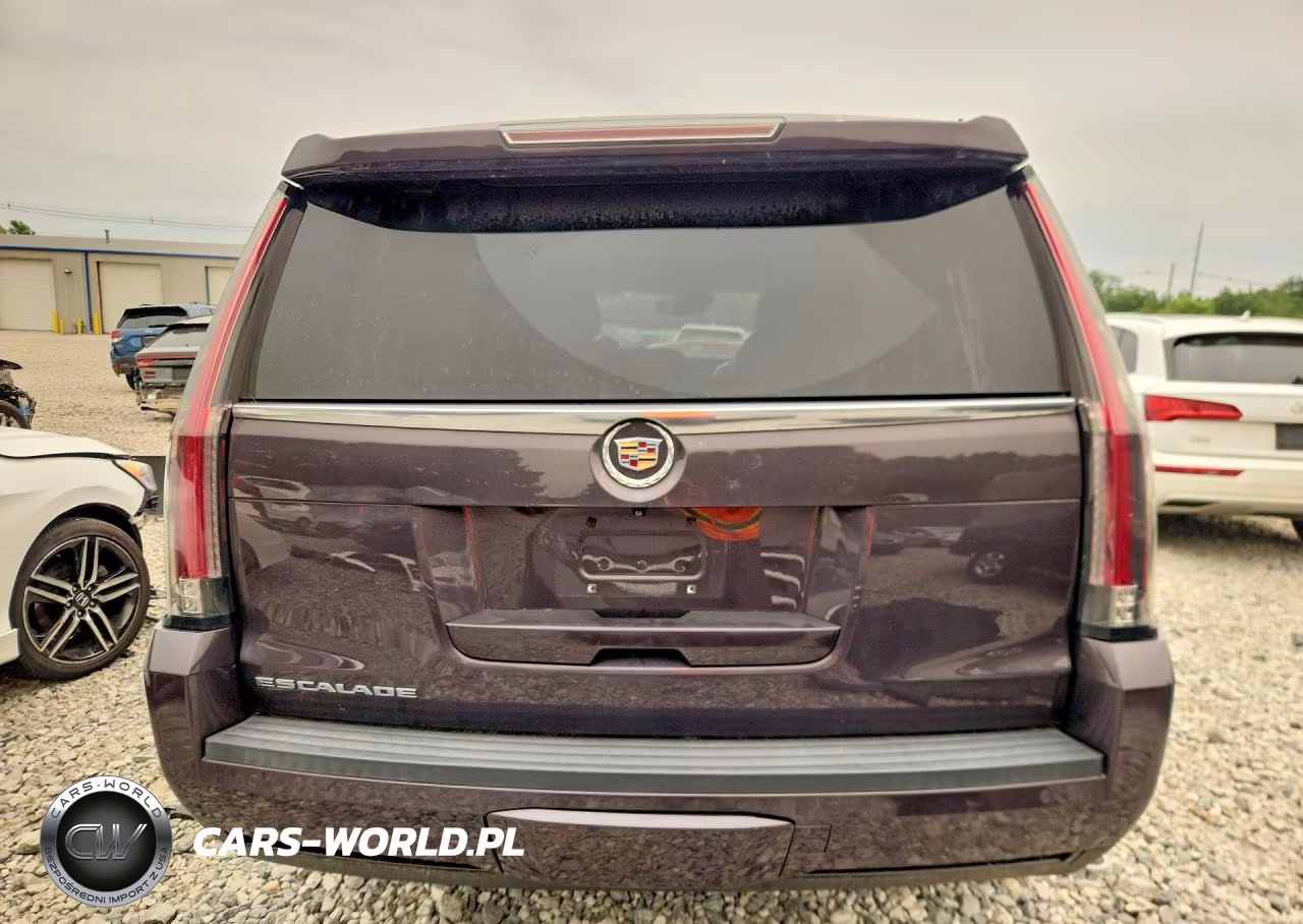 2015 Cadillac Escalade Luxury VIN:1GYS4BKJ9FR176896 - 6