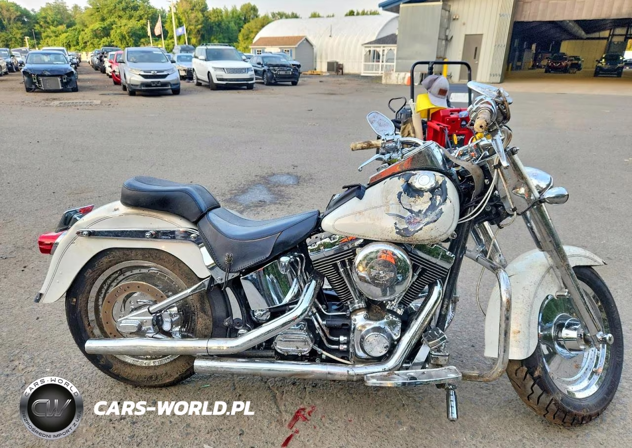 2000 Harley-Davidson Flstf