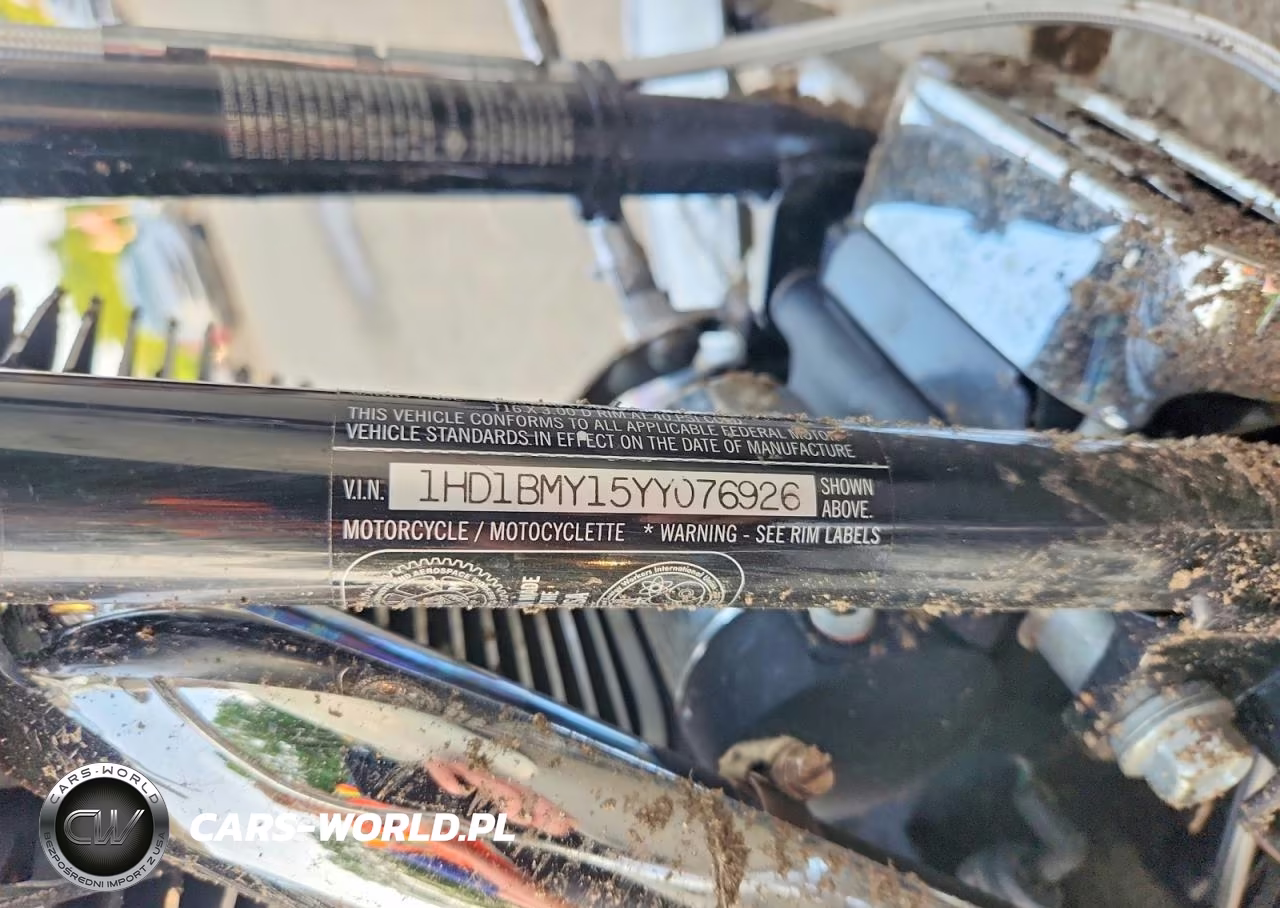 2000 Harley-Davidson Flstf VIN:1HD1BMY15YY076926 - 9