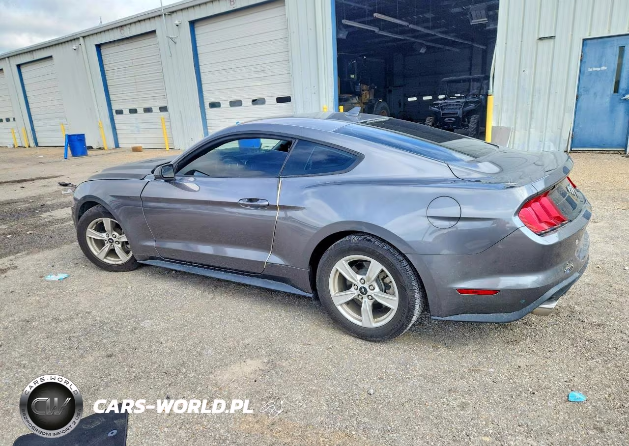 2021 Ford Mustang VIN:1FA6P8TH3M5110562 - 2