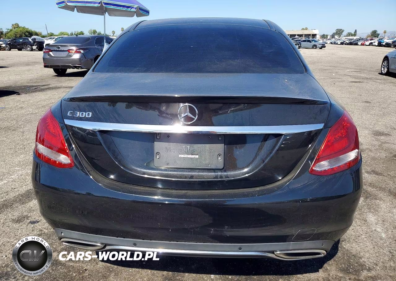 2017 Mercedes-Benz C 300 VIN:55SWF4JB8HU197009 - 6
