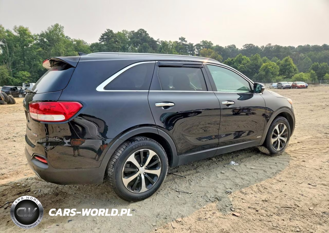 2016 Kia Sorento Ex VIN:5XYPHDA18GG017011 - 3