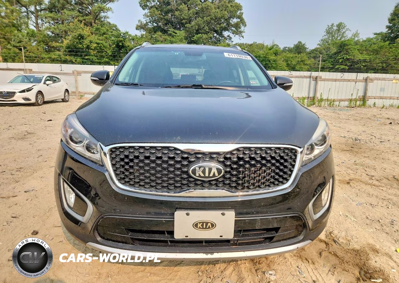 2016 Kia Sorento Ex VIN:5XYPHDA18GG017011 - 5