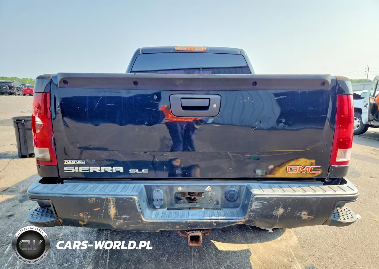 2009 GMC Sierra K1500 Sle VIN:3GTEK23379G262852 - 6