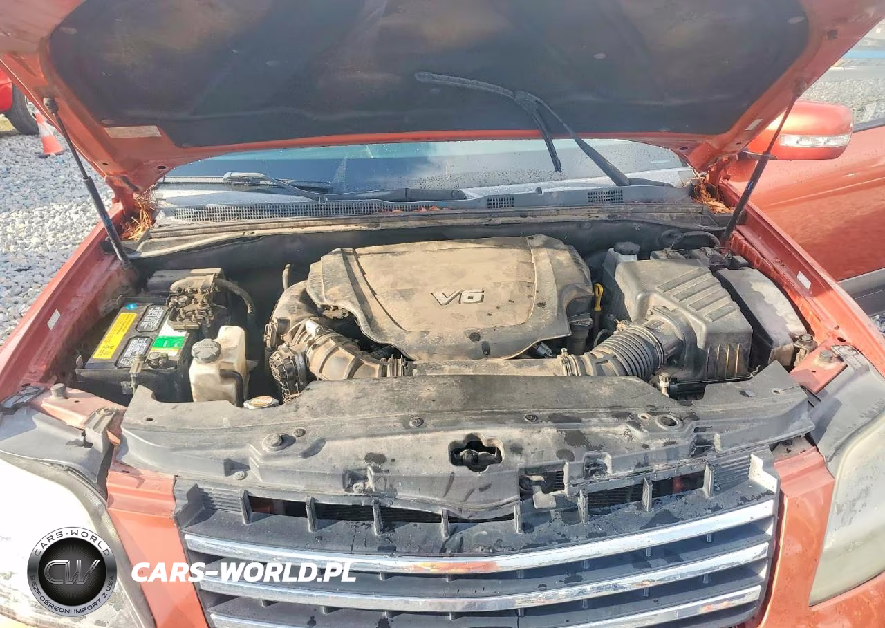 2009 Kia Borrego Lx VIN:KNDJH741095026395 - 11