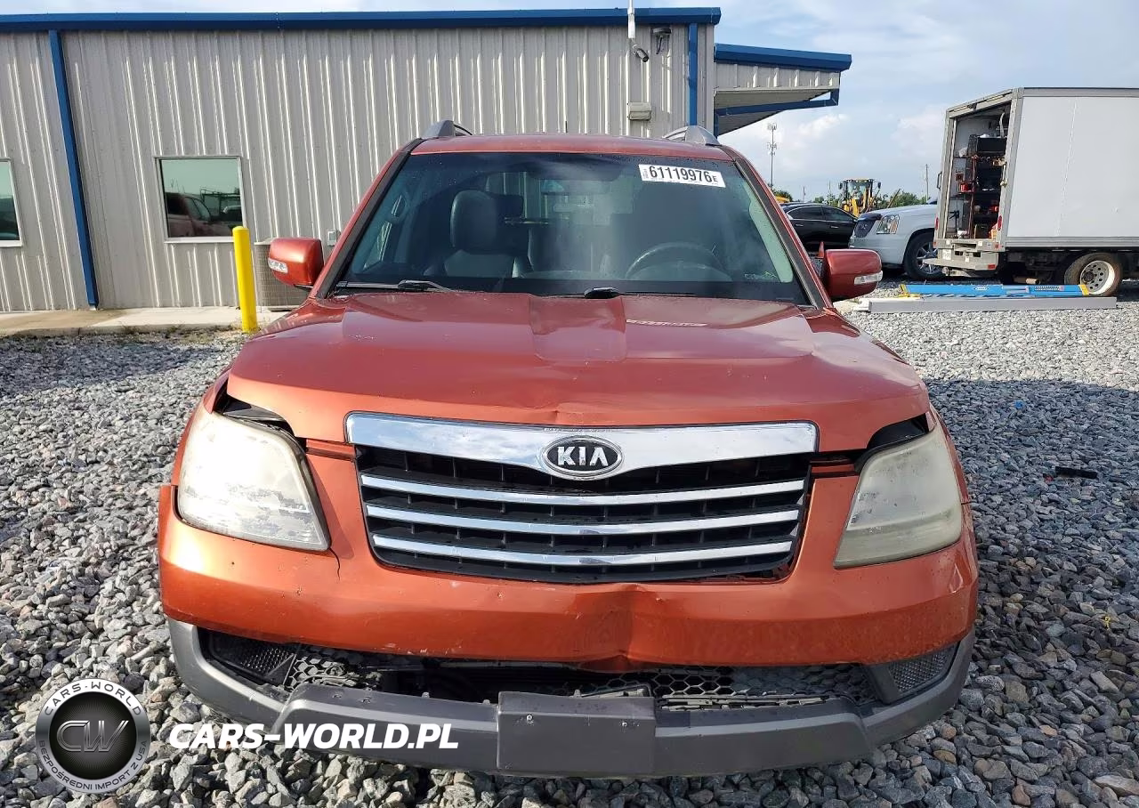 2009 Kia Borrego Lx VIN:KNDJH741095026395 - 5