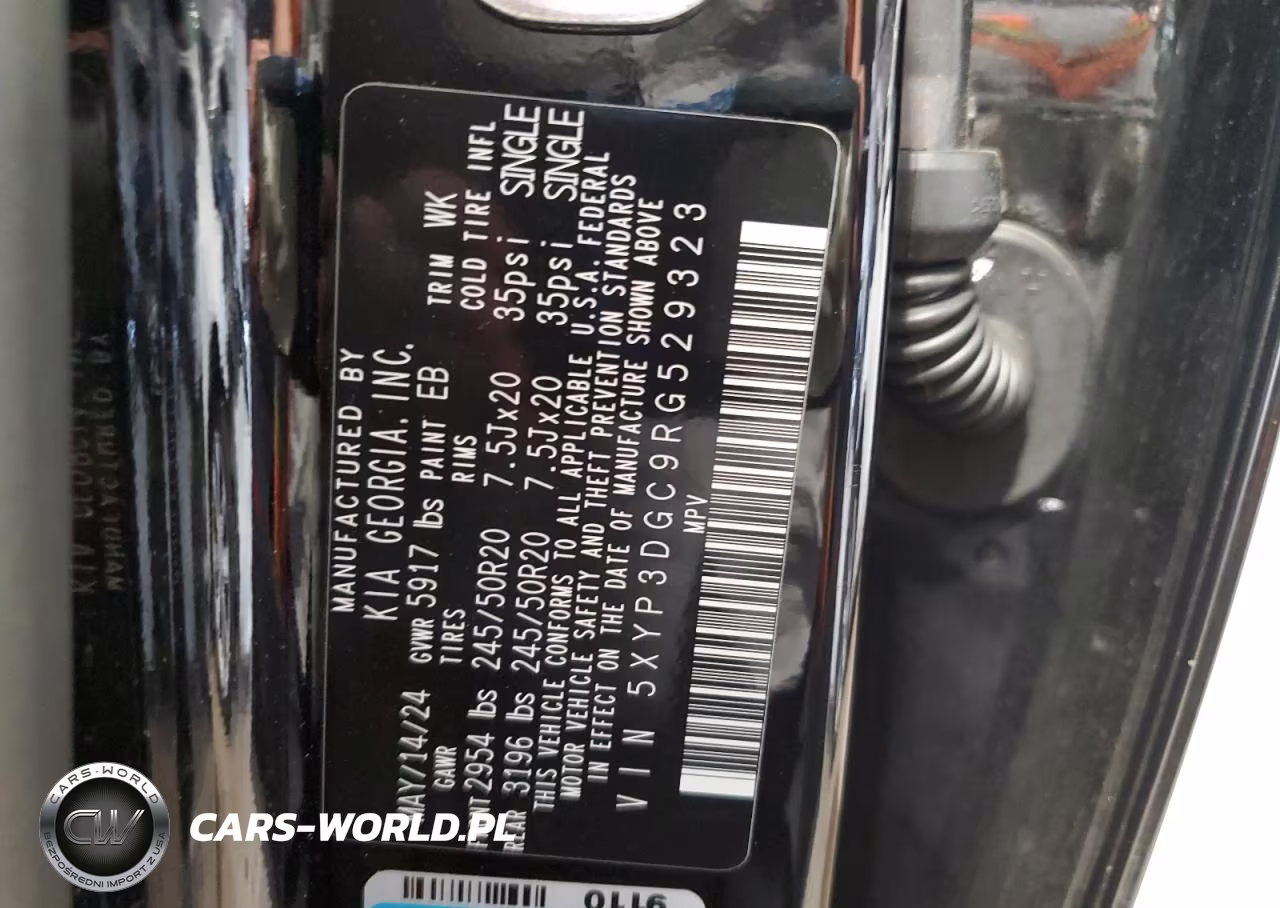 2024 Kia Telluride Ex VIN:5XYP3DGC9RG529323 - 13