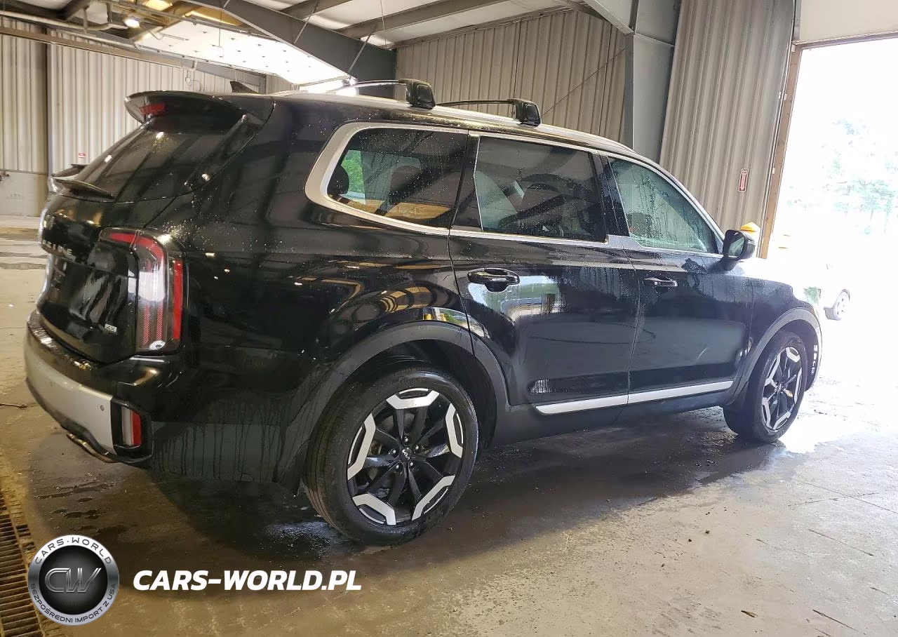 2024 Kia Telluride Ex VIN:5XYP3DGC9RG529323 - 3