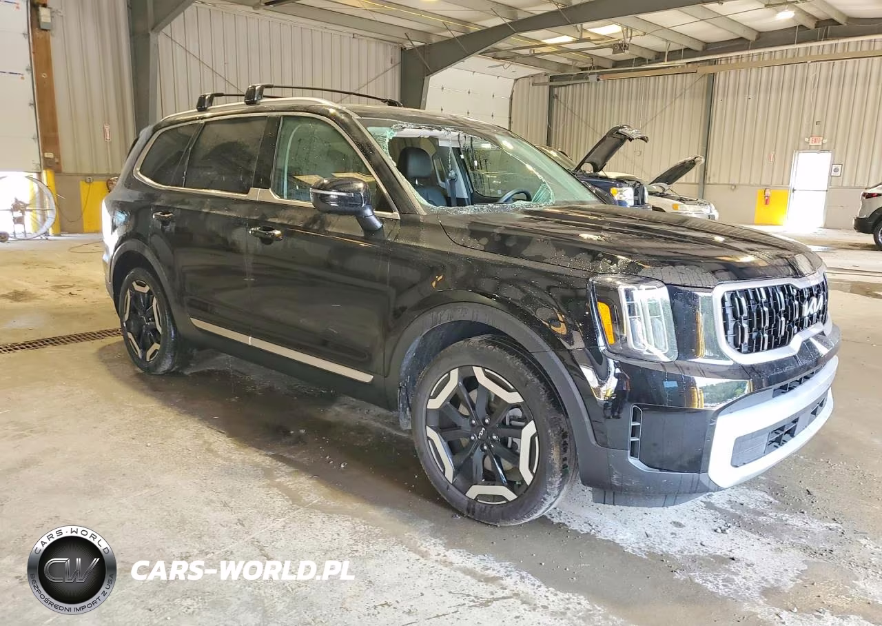 2024 Kia Telluride Ex VIN:5XYP3DGC9RG529323 - 4