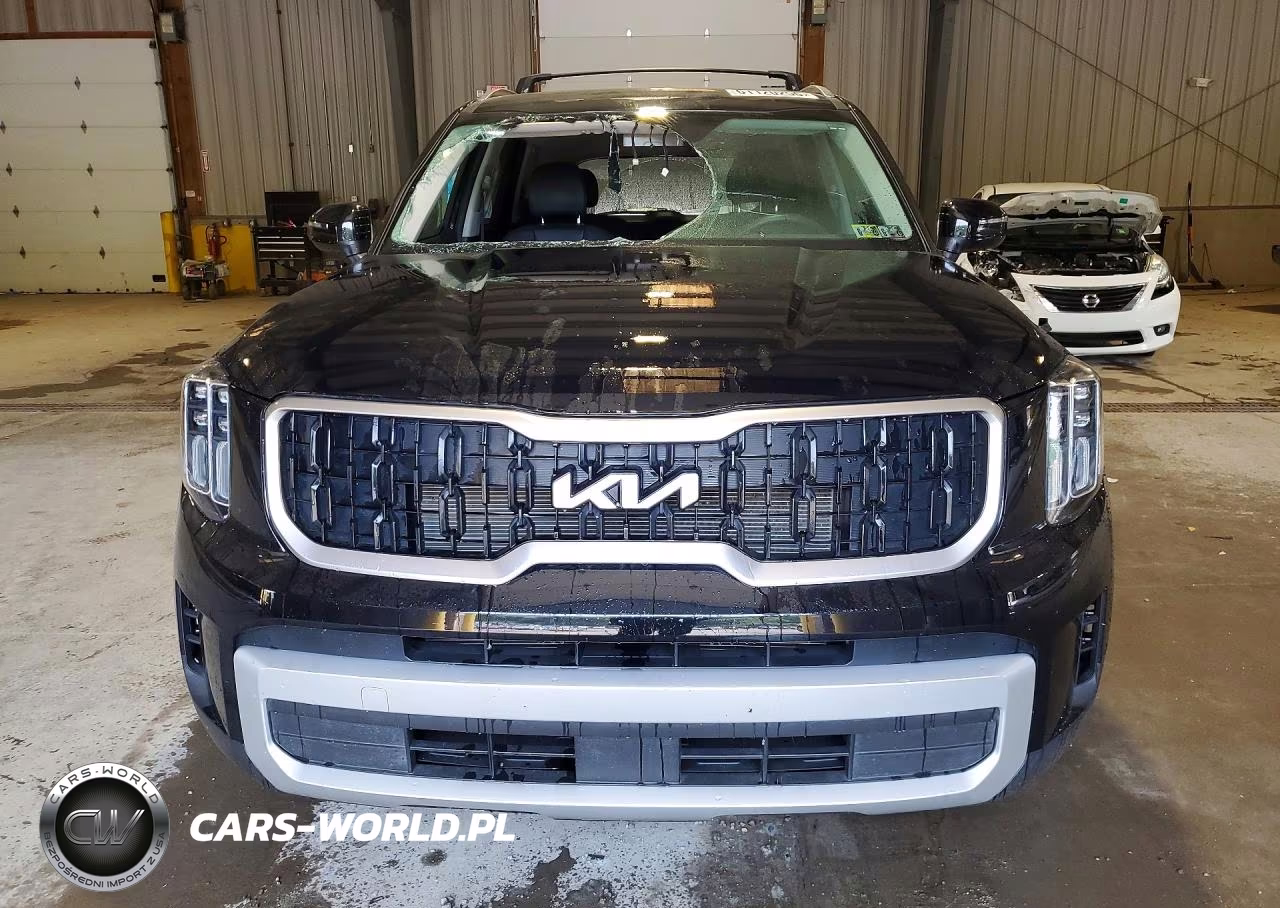 2024 Kia Telluride Ex VIN:5XYP3DGC9RG529323 - 5
