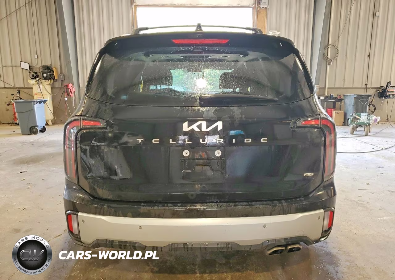 2024 Kia Telluride Ex VIN:5XYP3DGC9RG529323 - 6