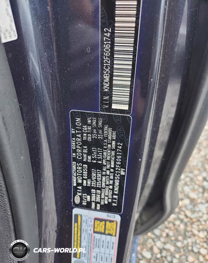 2015 Kia Sedona Lx VIN:KNDMB5C12F6061742 - 13