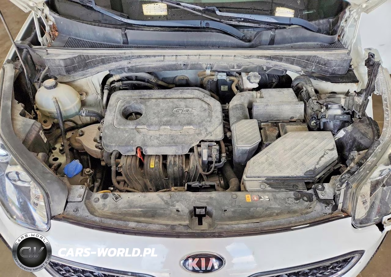 2019 Kia Sportage Ex VIN:KNDPN3AC6K7503438 - 11