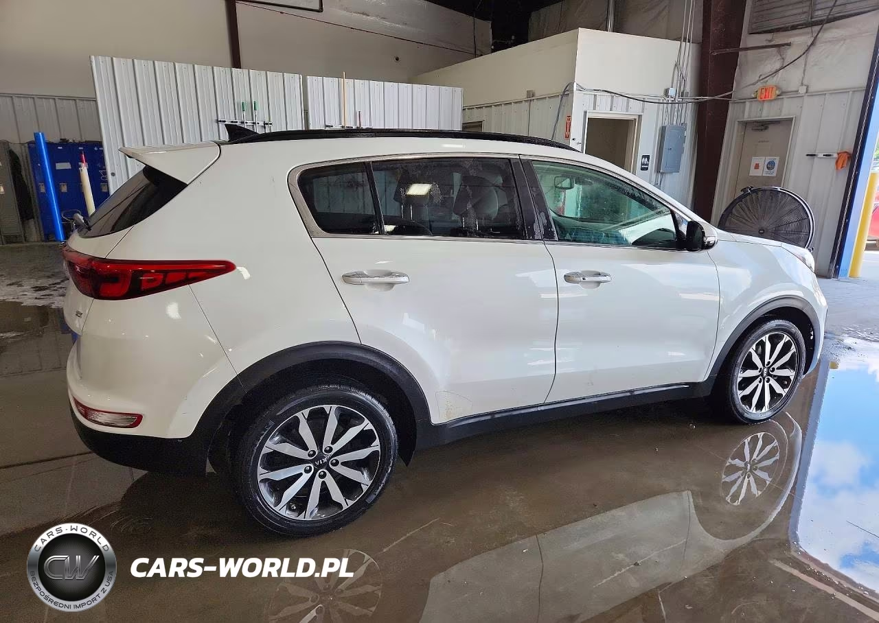 2019 Kia Sportage Ex VIN:KNDPN3AC6K7503438 - 3