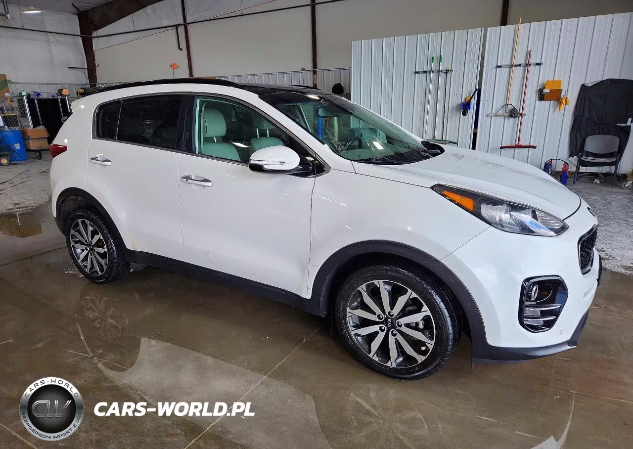 2019 Kia Sportage Ex VIN:KNDPN3AC6K7503438 - 4