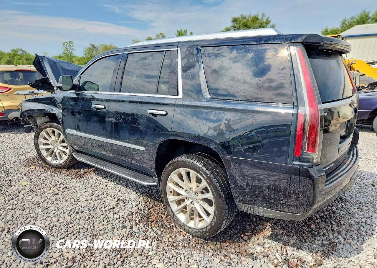 2019 Cadillac Escalade Luxury VIN:1GYS4BKJ3KR162423 - 2